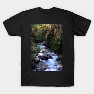 Lost Creek T-Shirt